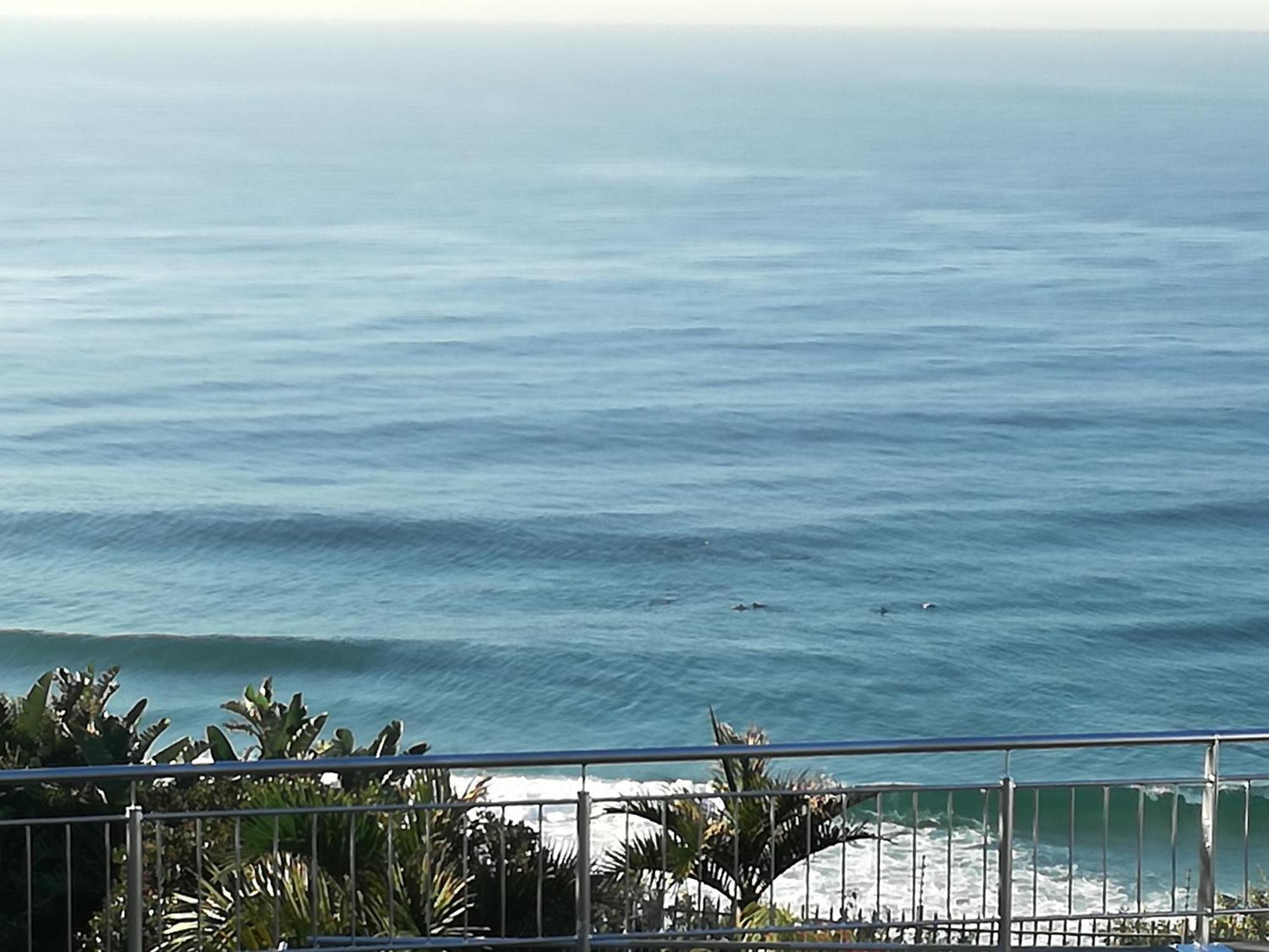 דורבן Dolphin Point B&B מראה חיצוני תמונה